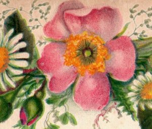 1880s Victorian Christmas Card Lovely Pink Blossom & Daisies 7D