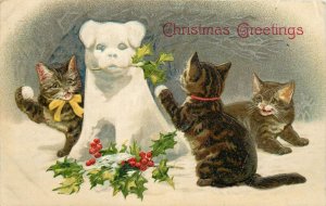 Embossed Postcard; Helena Maguire Cats Make a Snow-Dog & have Snowball Fight