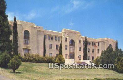 Grant County Court House Silver City NM Unused