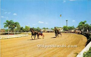 Ben White Raceway Orlando, Florida, FL, USA Horse Racing Unused 