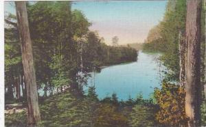 Minnesota Itasca State Park Woodland Scene Albertype