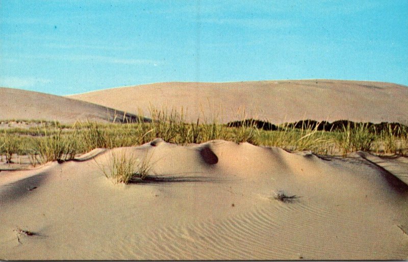 North Carolina Outer Banks Sand Dunes