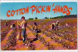 Cotton Pickin' Hands