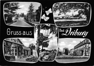 BG21541 gruss aus bad driburg   germany CPSM 14.5x9cm