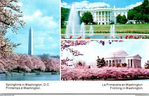 Wasgington D C Springtime With White House Washington Monument & Jefferson Me...