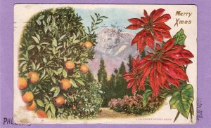 Merry Xmas Holiday Postcard, Christmas, Poinsettias, Mistletoe