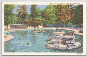 Linen~Seal Pond In Forest Park~Sea Lions On Rocks @ The St Louis Zoo~Vintage PC