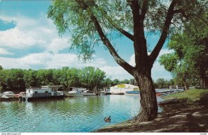 RED WING , Minnesota , 50-60s ; Colville Park , Mississippi River