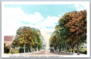 K45/ Cedarhurst Long Island New York Postcard c1910 Central Ave Homs 431