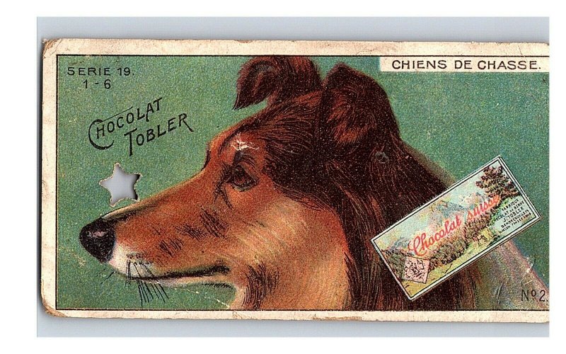 Vintage 1890's Victorian Trade Card Toblerone Swiss Chocolate - Collie Dog NICE