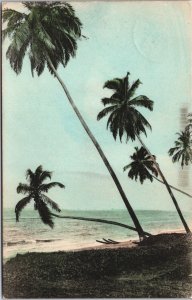 Sri Lanka Ceylon Palms on Sea Shore Colombo Vintage Postcard C132