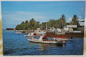 Fishing Fleet Avarua Harbor Rarotonga Cook Islands Vintage Postcard