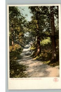 Boston MA Franklin Park c1910 Postcard