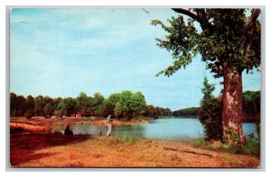 Shelby Forest State Park Lucy Tennessee TN UNP Chrome Postcard N25