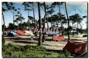 Old Postcard Cayeux (Somme) Campers in the Bois de la Molliere