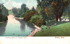 Vintage Postcard Feeding Ducks In Franklin Park Pond Boston Massachusetts NENC