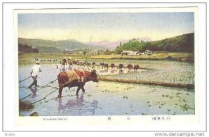 Rice Transplanting , Japan , 00-10s