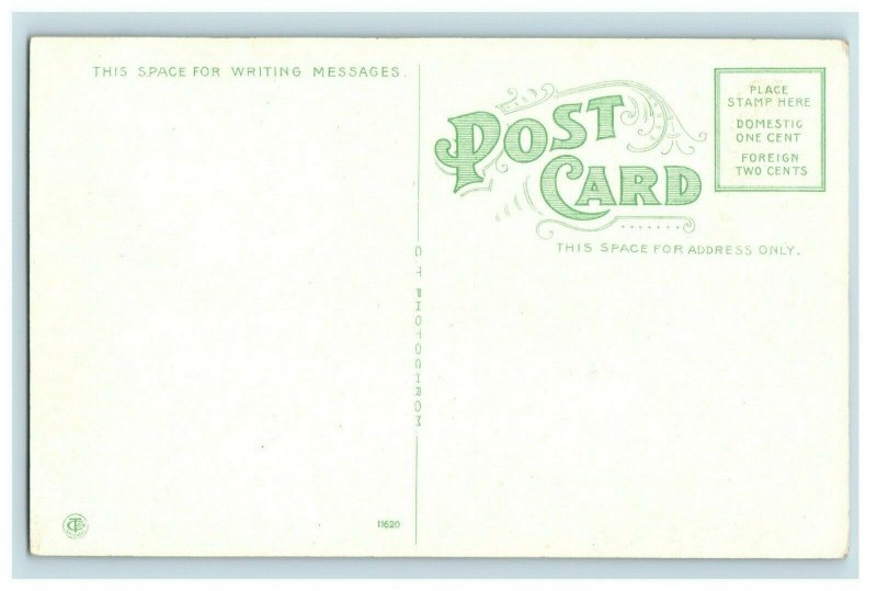 C.1910 FC. & M.E. Railroad Depot Zion City People Cart Vintage Postcard P109