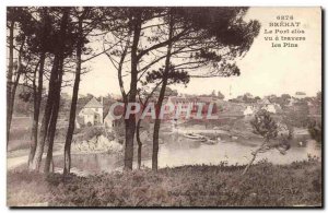 Old Postcard Brehat Le Port Clos Vu Travers Les Pins