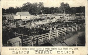 Miles City Montana MT AB Clerk's Horse Sale Co Yard c1910 Postcard