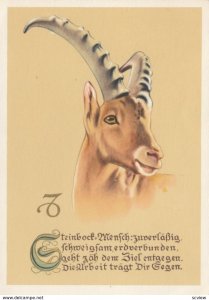 Horoscope , 1930s ; Steinbock