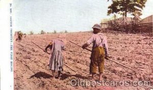 Cotton Industry, Black Americana 1908 crease right bottom corner, postal used...