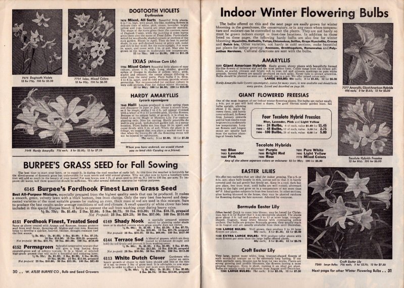 1953 Burpee Bulbs Fall Catalog  Plants Flowers  9 x 7