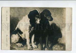 3076335 Old DOGS Hounds Vintage Art RPPC 1913 year