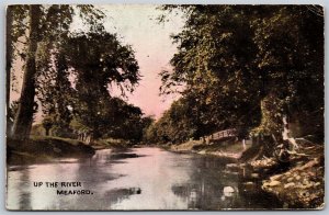 Postcard Meaford Ontario c1910s Up The River Scenic View Grey County by Warwick