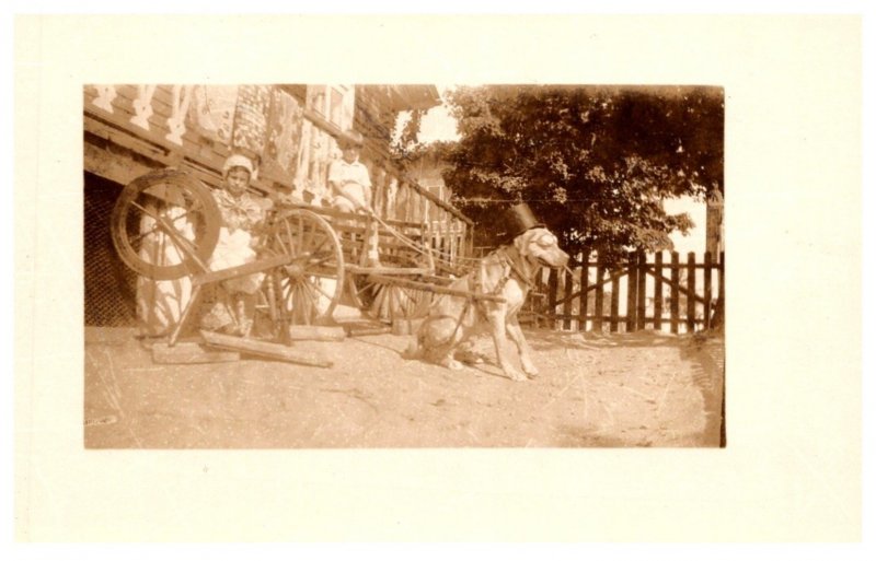 Dog , pulling wagon , RPC