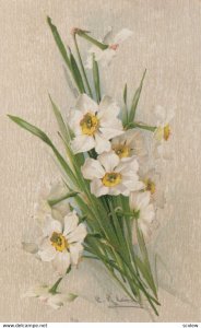 KLEIN; White Flowers , 1900-10s