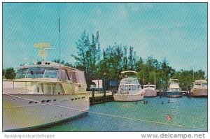 Florida Marathon Tarpon Lodge Marina In The Florida Keys 1970