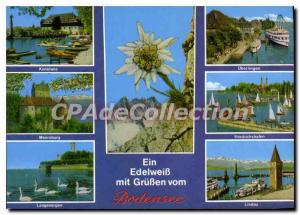 Modern Postcard Ein Mit Edelweib Gruben Vom Bodensee