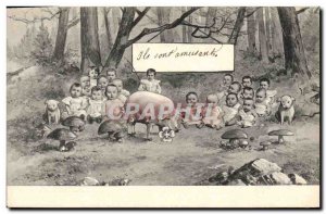 Postcard Old Pig Pig Kids Mushroom