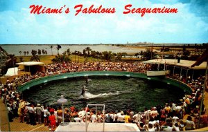 Florida Miami Seaquarium Cha-Cha Tail Dancing Porpoise