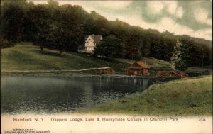 Stamford New York NY Churchill Park Trappers Lodge c1910 Vintage Postcard