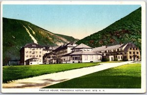 Profile House Franconia Notch White Mountains New Hampshire NH Grounds Postcard