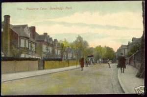 kent, SUNDRIDGE Park, Plaistrow Lane (1908) 
