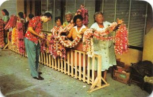 HONOLULU, HI Hawaii  LEI SELLERS  Women~Flower Leis~Ship Passengers  Postcard