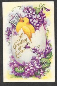 1910 Easter Chick Embossed Picture Postcard!
