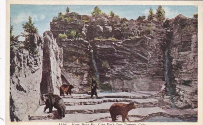 Colorado Denver The New Bear Pit In The City Park Zoo