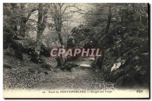 Old Postcard Fontainebleau Forest Gorge aux Loups