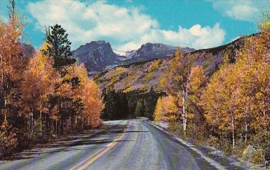 Colorado Rocky Mountain National Park Aspen Time On Highway To Bear Lake In R...