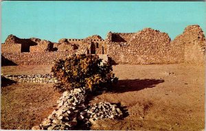 Postcard MONUMENT SCENE Albuquerque New Mexico NM AL9541