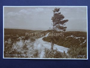 Surrey HINDHEAD Old Portsmouth Road c1916 RP Postcard by Judges / M.S. Deighten