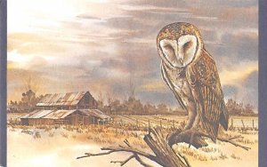 Barn Owl, Dusk, By Joe Garcia Unused 