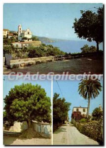 Postcard Modern Cargese Corsica The Church And The Gulf pokeweed dioca