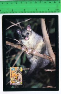 420878 AUSTRALIA possum Pre-paid Postal Stationery postcard