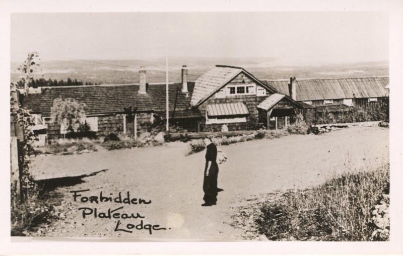 Forbidden Plateau Lodge Ski Resort Courtenay BC Comox Valley RPPC Postcard E6