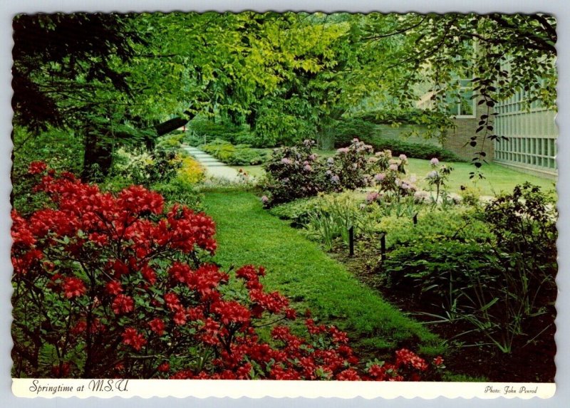 Springtime Formal Gardens Michigan State University MSU East Lansing MI Postcard